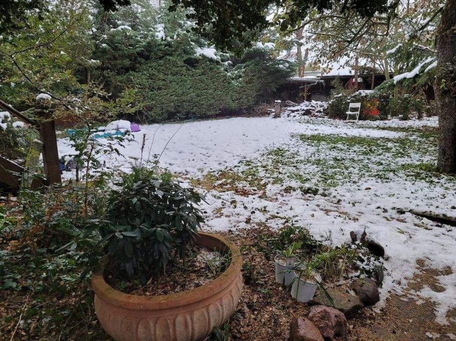 Gaestewohnung " Am Harsdorf " ماغديبورغ المظهر الخارجي الصورة